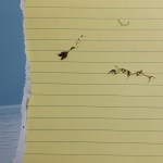 yellow lined paper with small plant cuttings and torn blue paper