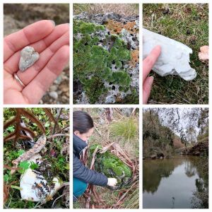 a photo collage with 6 images of a woman collecting moss and closeups of nature